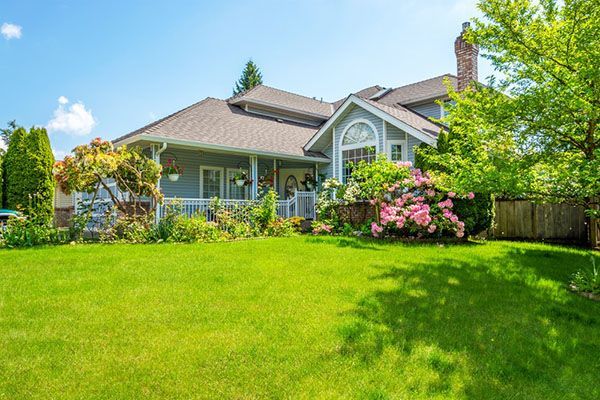 Home & Garden