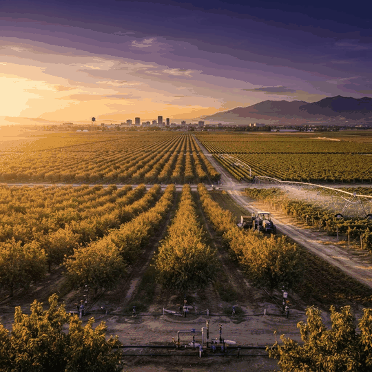 Top 10 Best Farming Companies in Fresno