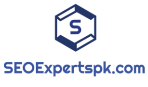 SEO Services Pakistan