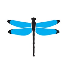 Dragonfly Digital Marketing