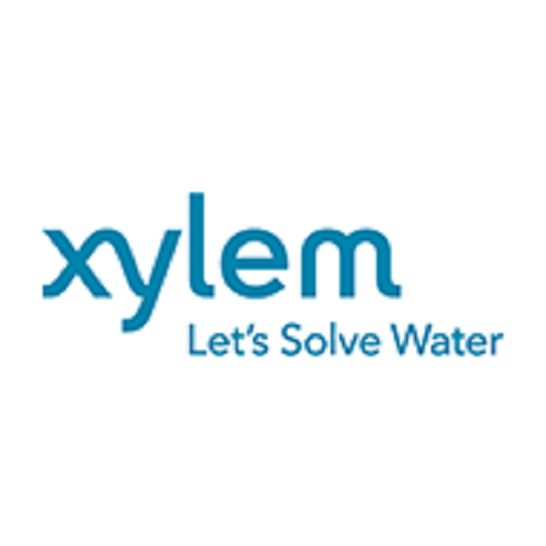 Xylem