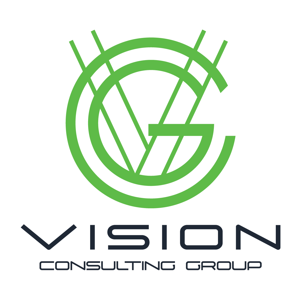 Vision Consulting Group