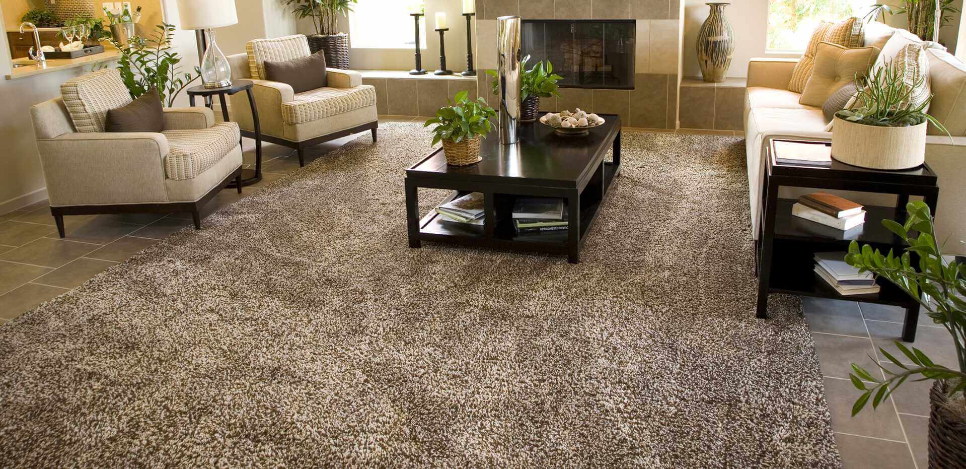 Professional Carpet Cleaning Winston Salem  NC