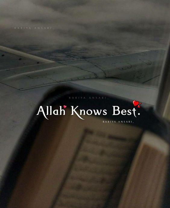 knowledge quran 
