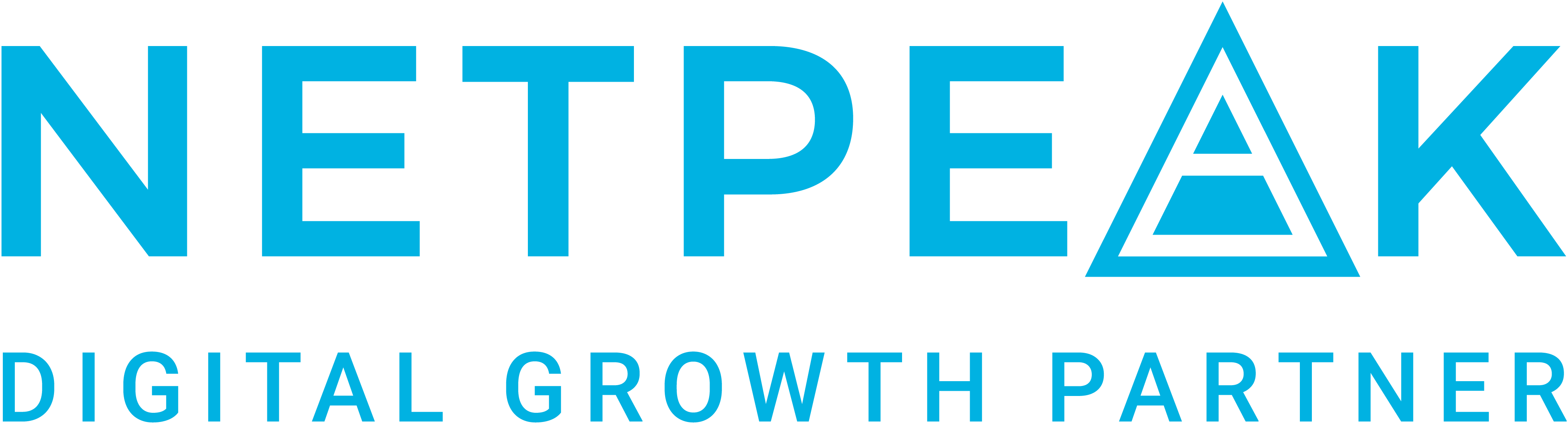 Netpeak Digital Agency UK