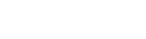 Nivida web Solutions