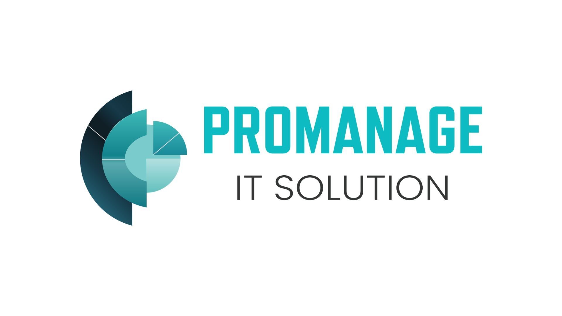 Promanage IT Solution