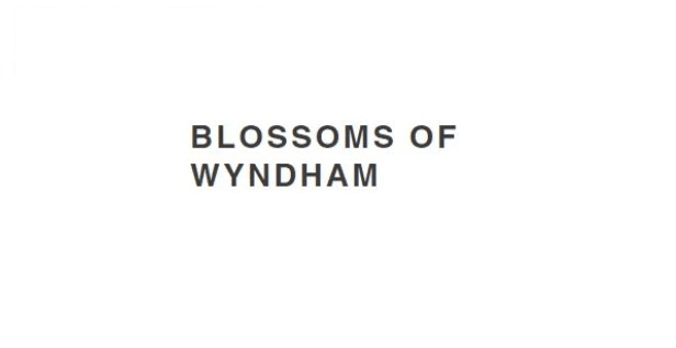 Blossom of  Wyndham