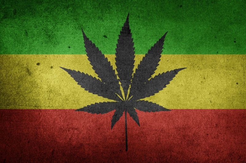 Weed Lifestyles