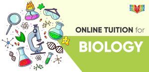In-Depth Biology Tuition for Aspiring Scientists