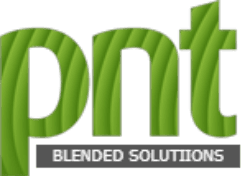 PNT Global
