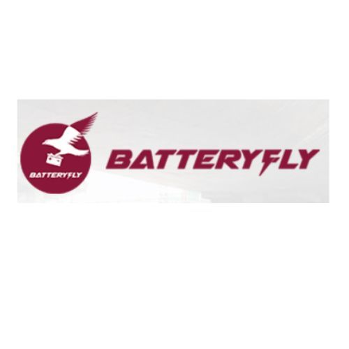 Batteryfly