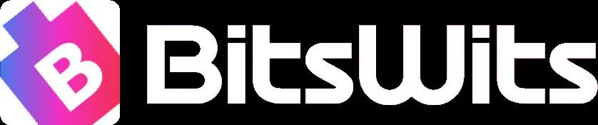 BitsWits - Mobile App Development Company Dubai