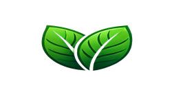 Green Webpage