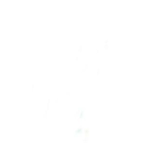 Weston Dental Group - Maria Moser DMD