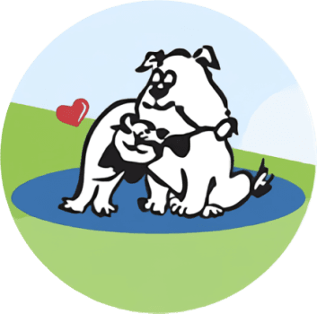 Bayview Hill Animal Hospital