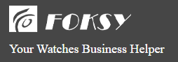 FOKSY  WATCH