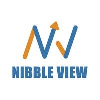 Nibble View - Digital Marketing Agency