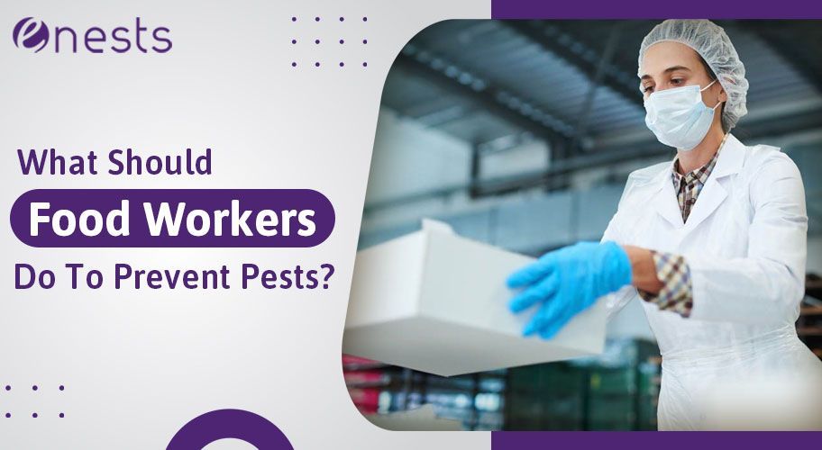 What Should Food Workers Do To Prevent Pests?